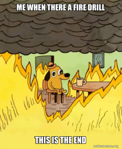 This Is Fine
