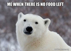 Popular Opinion Polar Bear