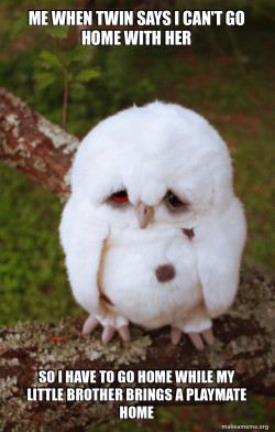 Sad Owl