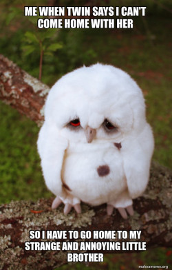 Sad Owl