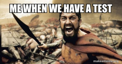 The 300