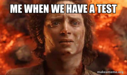 Frodo it's over it's done