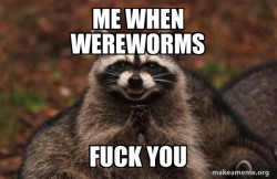 Evil Plotting Raccoon