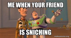 Buzz and Woody (Toy Story) Meme