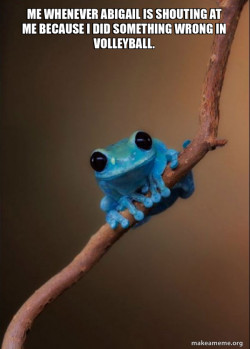 Small Fact Frog