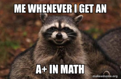 Evil Plotting Raccoon
