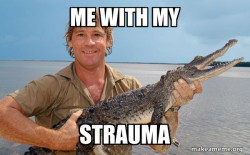 Steve irwin