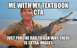 Steve irwin