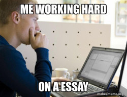 Programmer