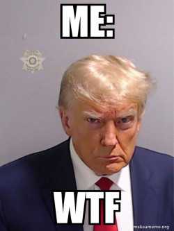 Donald Trump Mugshot