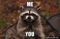 Evil Plotting Raccoon