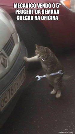 Mechanic Cat