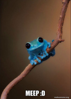 Small Fact Frog