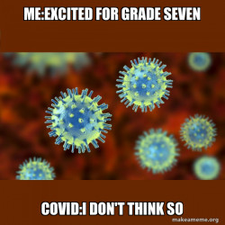 Coronavirus ( COVID-19 )