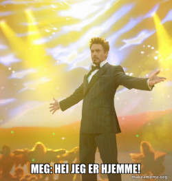Tony Stark Success