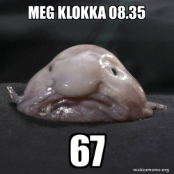 Blobfish