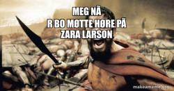 The 300