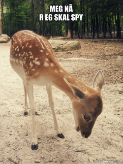 O M G Deer