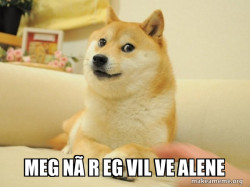 Doge