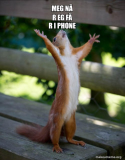 Happy Squirrel