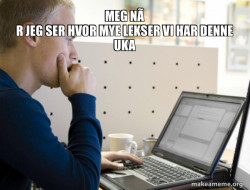 Programmer