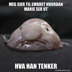 Blobfish