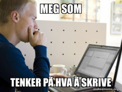 Programmer