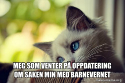 First World Cat Problems