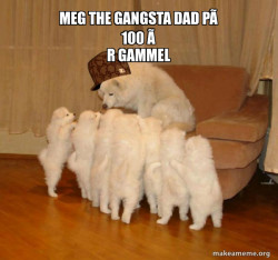 Scumbag Storytelling Dog