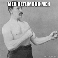 Overly Manly Man