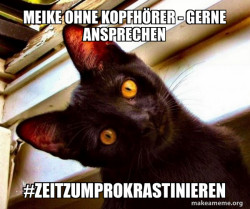 Overly Attached Cat