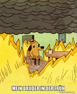 This Is Fine