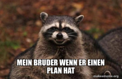 Evil Plotting Raccoon
