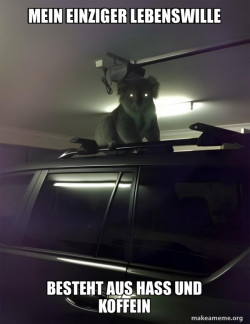 Drop Bear