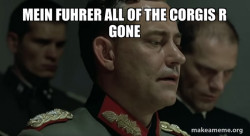 Mein Fuhrer