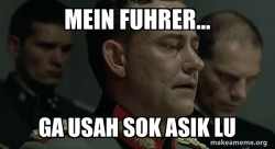 Mein Fuhrer