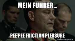Mein Fuhrer