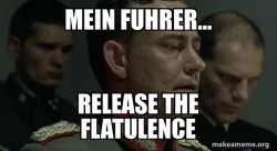 Mein Fuhrer