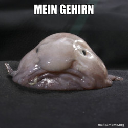 Blobfish