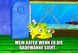 Mocking SpongeBob