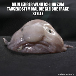 Blobfish