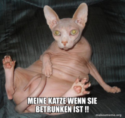 Hairless Cat