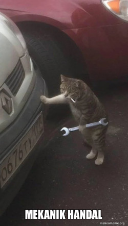 Mechanic Cat