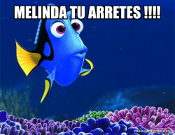 Dory from Nemo  (5 second memory)