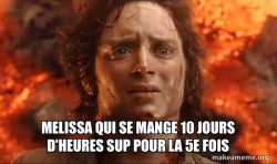 Frodo it's over it's done