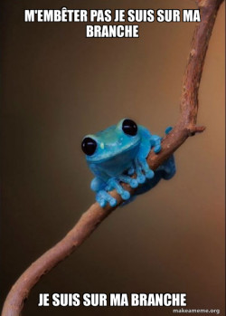 Small Fact Frog