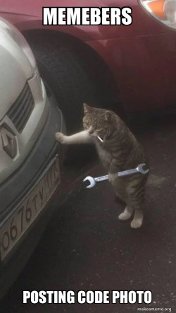 Mechanic Cat