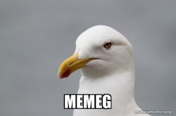 Stuff That Didn't Happen Seagull