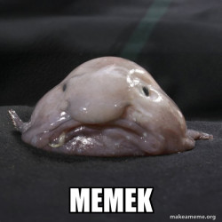 Blobfish