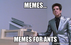 Center for Ants (Zoolander)